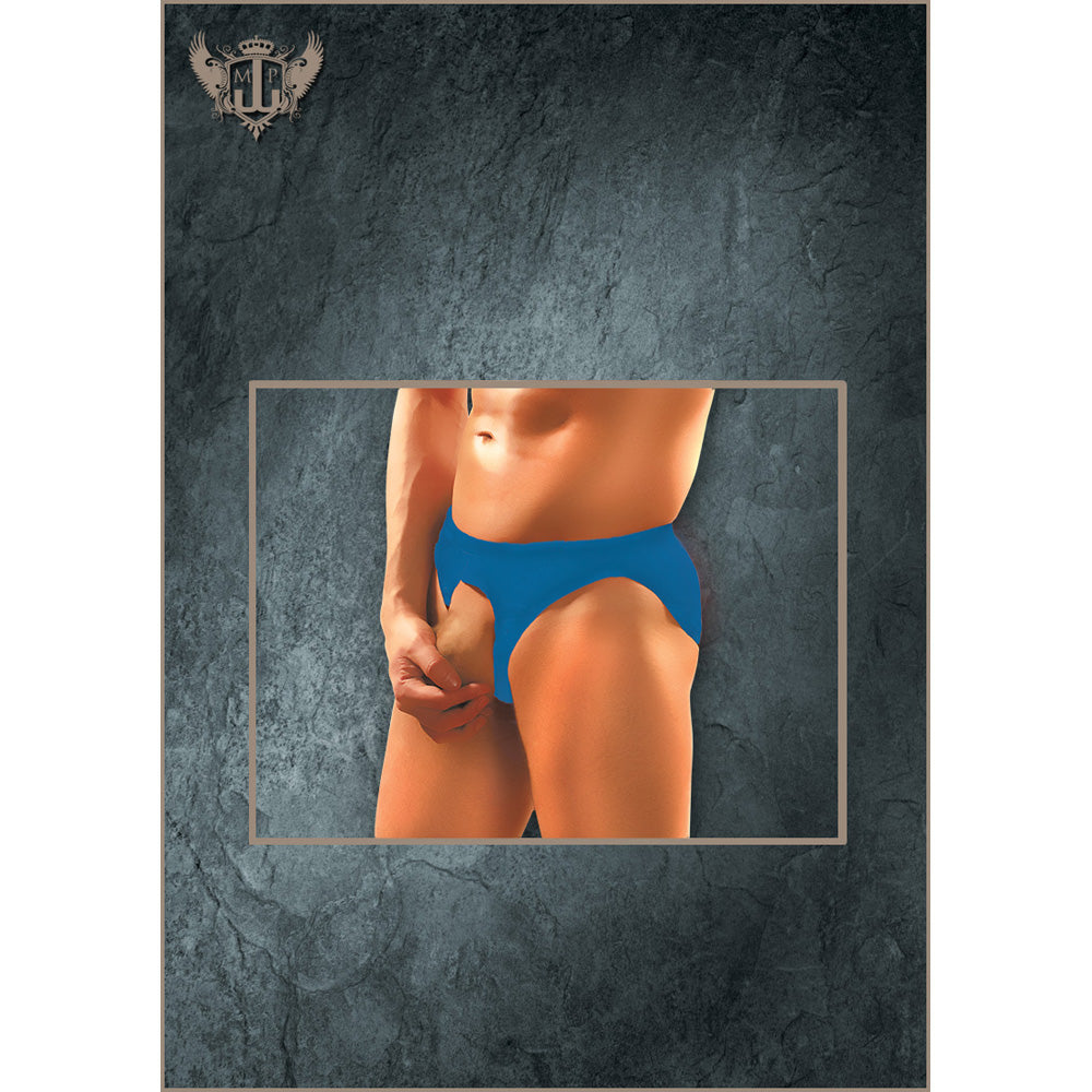 Nylon Spandex Pouchless Brief Royal One Size | 845830042017 | Discreet Personal Wellness