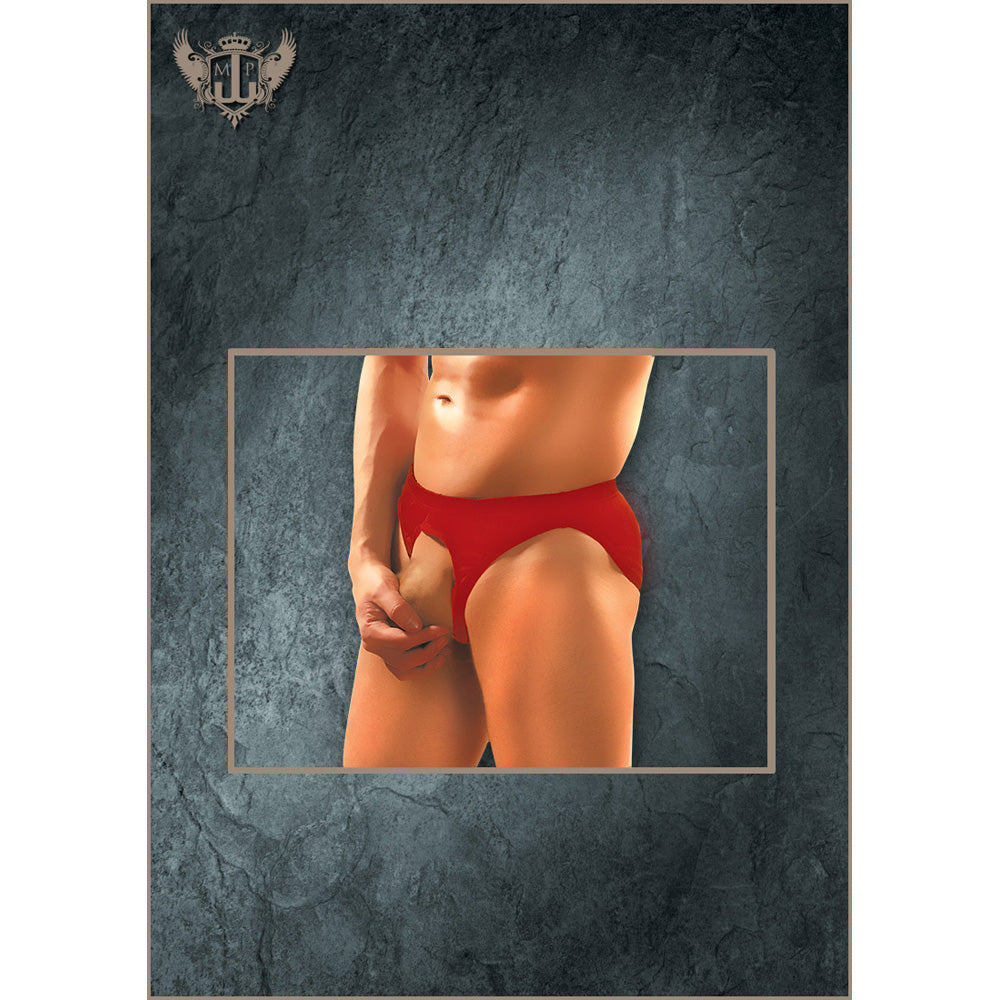 Nylon Spandex Pouchless Brief Red One Size | 845830044233 | Discreet Personal Wellness