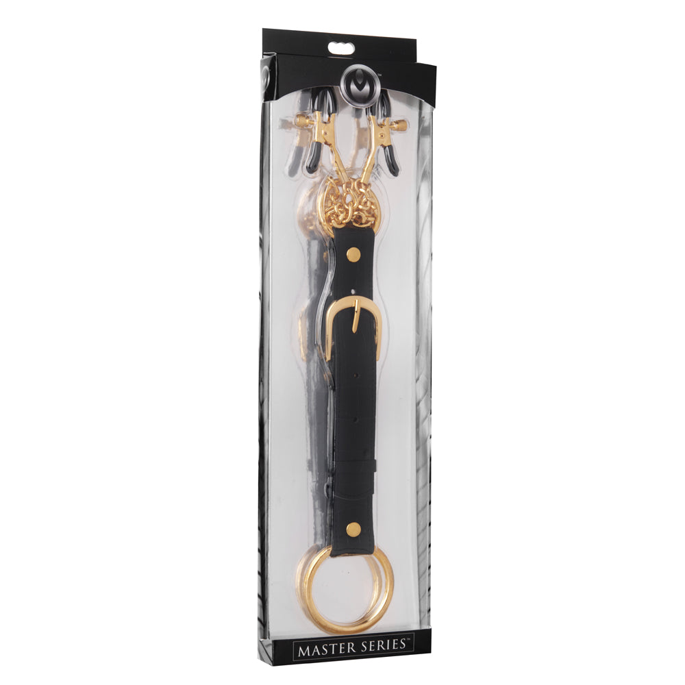 Master Series Penitentiary Nipple Clamps And Penis Ring Set | 848518015006 | Discreet Personal Wellness
